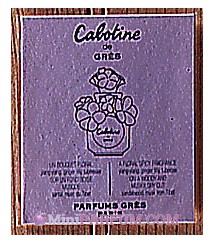 Cabotine