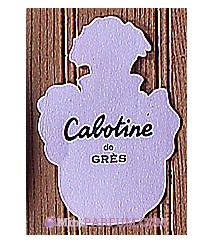 Cabotine