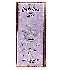 Cabotine