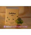 Cabotine*