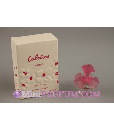 Cabotine - rose