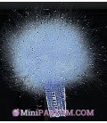 Plumes