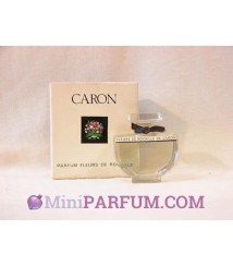 Parfum Fleurs de Rocaille